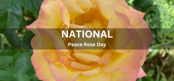 National Peace Rose Day [राष्ट्रीय शांति गुलाब दिवस]
